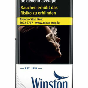 WINSTON BLUE 20/100 S