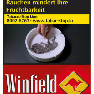 WINFIELD RED 30