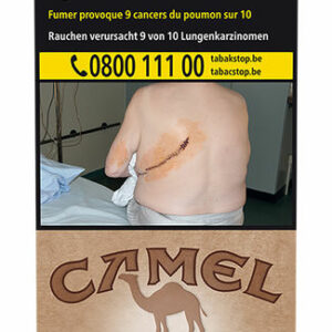 CAMEL ESSENTIAL BROWN 20