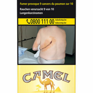 CAMELYELLOW100 S 20