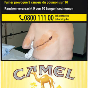 CAMEL YELLOW 25